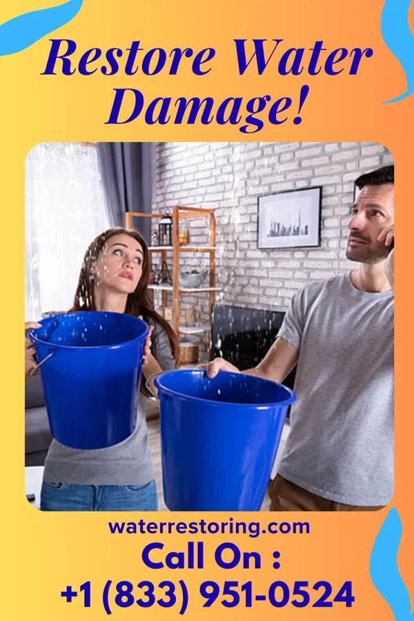 water restoration Atlas Cleanup Network Lansing
