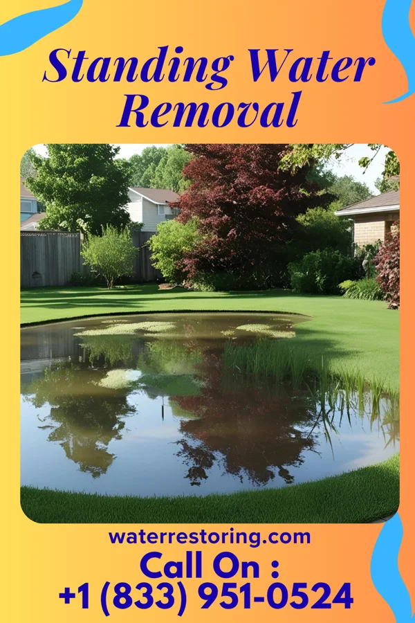 Standing Water Removal in Lansing, IA